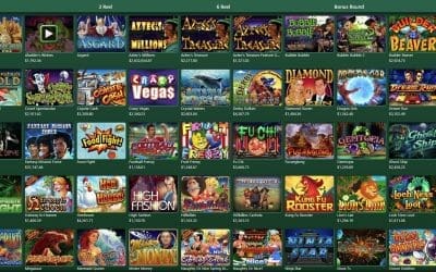 The Exploration of Pokies